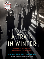 A_Train_in_Winter